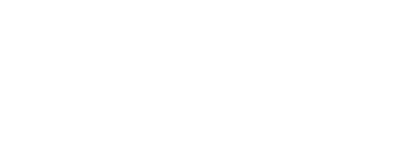 World Travel Consortium